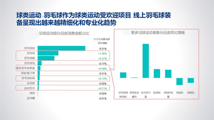 2023年羽毛球館行業(yè)統(tǒng)計數(shù)據(jù)分析 全民參與度達35%，運動項目經(jīng)營迎來新機遇